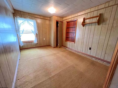 249 Seventh St, Davis, WV 26260 photo 18