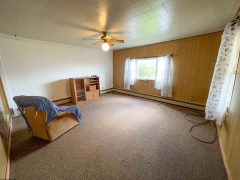 249 Seventh St, Davis, WV 26260 photo 10