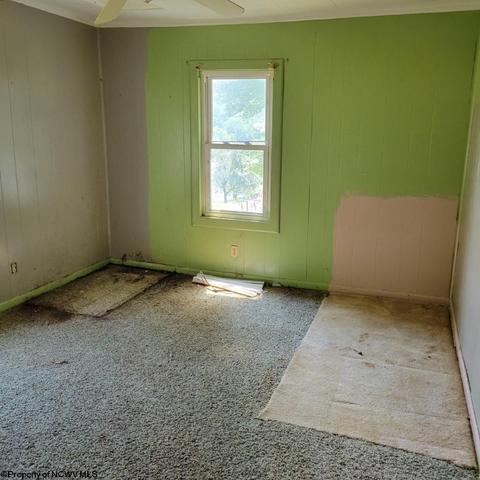 906 Dickson St, Mannington, WV 26582 photo 8