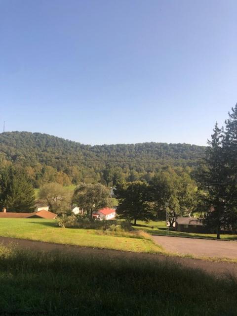 906 Dickson St, Mannington, WV 26582 photo 16