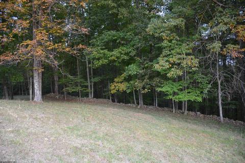895 Beamer Dr, Sutton, WV 26601 photo 28