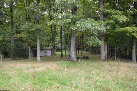 895 Beamer Dr, Sutton, WV 26601 photo 26