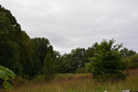 895 Beamer Dr, Sutton, WV 26601 photo 23