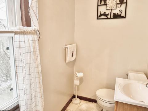 111 Monroe St, Mannington, WV 26582 photo 13