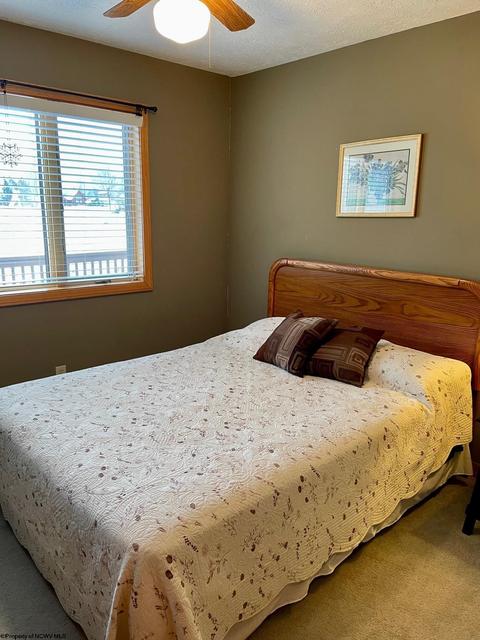 19 Beechcraft Way, Davis, WV 26260 photo 19