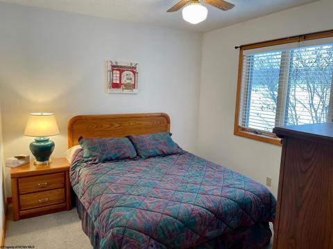 19 Beechcraft Way, Davis, WV 26260 photo 22