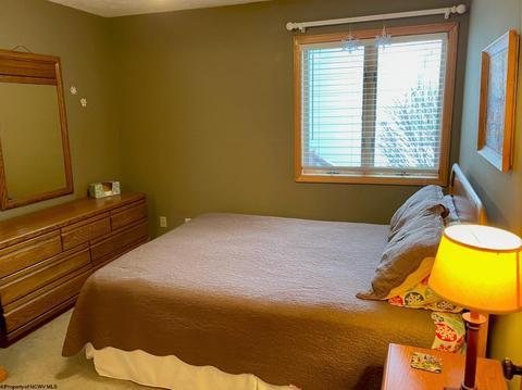 19 Beechcraft Way, Davis, WV 26260 photo 20
