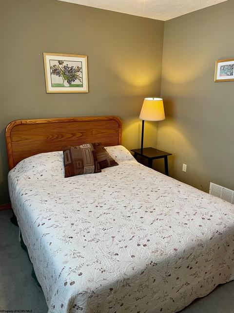 19 Beechcraft Way, Davis, WV 26260 photo 18