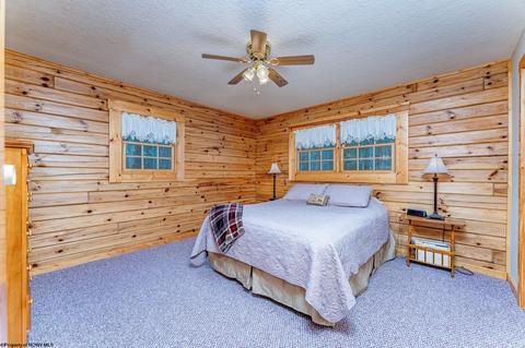 819 E Alpine Dr, Terra Alta, WV 26764 photo 13