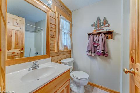 819 E Alpine Dr, Terra Alta, WV 26764 photo 16