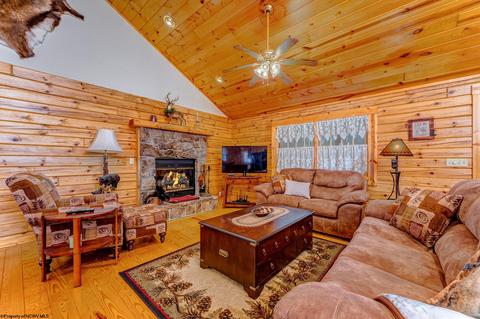819 E Alpine Dr, Terra Alta, WV 26764 photo 4