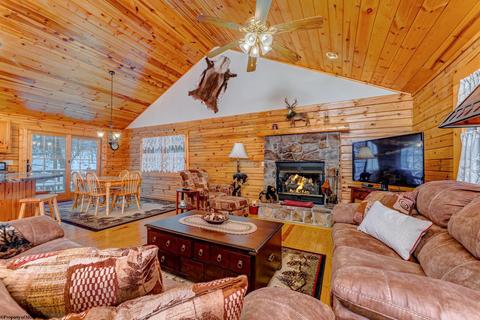 819 E Alpine Dr, Terra Alta, WV 26764 photo 6