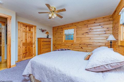 819 E Alpine Dr, Terra Alta, WV 26764 photo 15