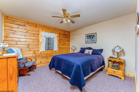 819 E Alpine Dr, Terra Alta, WV 26764 photo 19