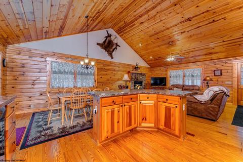 819 E Alpine Dr, Terra Alta, WV 26764 photo 11