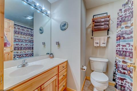 819 E Alpine Dr, Terra Alta, WV 26764 photo 20