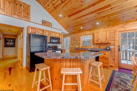 819 E Alpine Dr, Terra Alta, WV 26764 photo 9