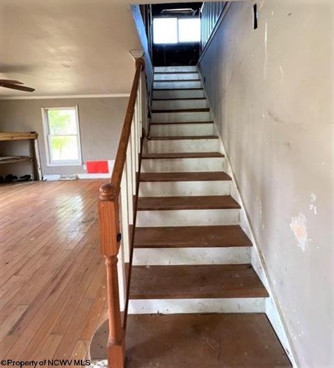 29 Wayne Rd, Wheeling, WV 26003 photo 18