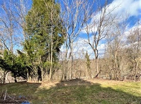 29 Wayne Rd, Wheeling, WV 26003 photo 22