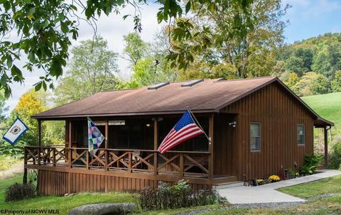 2366 Back Hollow Rd, Davis, WV 26260