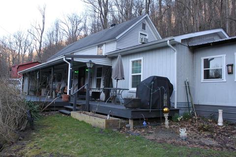 114 Meadowland Rd, Bergoo, WV 26298