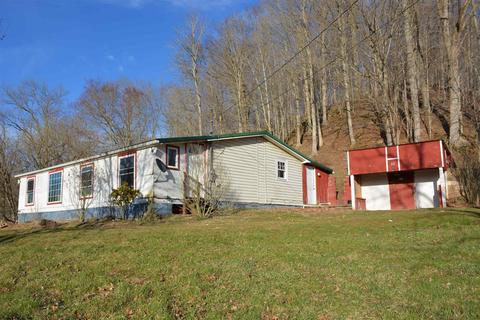 1273 Snowbird Rd, West Union, WV 26456