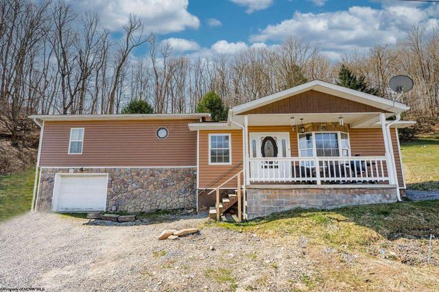 221 Monkey Row St, Masontown, WV 26542