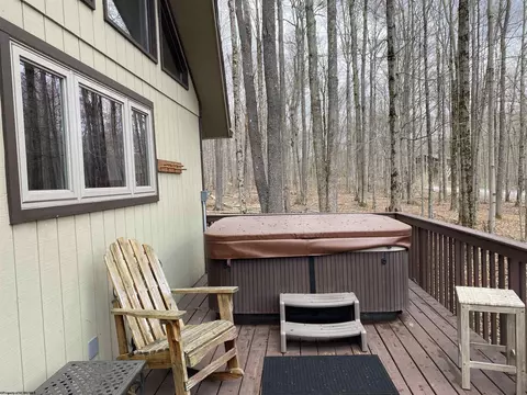 43 Bobcat Rd, Davis, WV 26260 photo 5