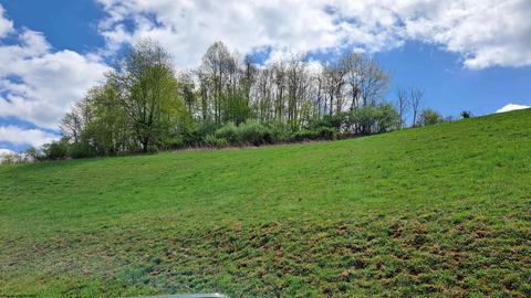 993 Daybrook Rd, Fairview, WV 26570 photo 25