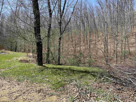 981 Dodson Run Rd, Beverly, WV 26253 photo 28