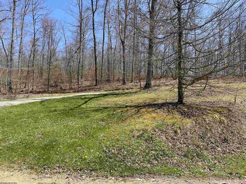 981 Dodson Run Rd, Beverly, WV 26253 photo 30