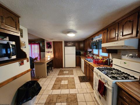863 Jacobs Run Rd, Salem, WV 26426 photo 7