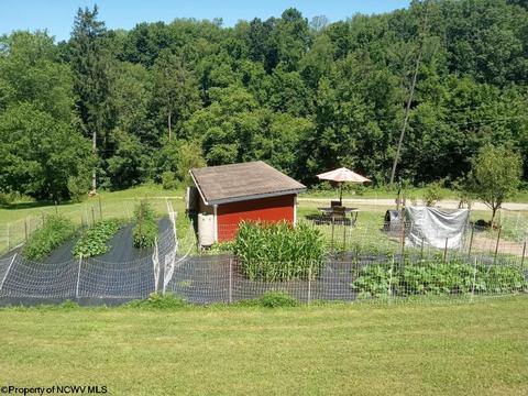 5575 Mount Clare Rd, Mount Clare, WV 26408 photo 20