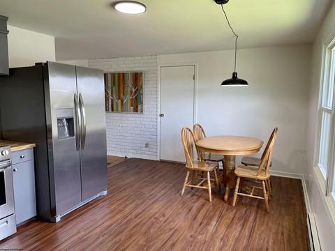 45 Euclid Ave, Thomas, WV 26292 photo 15