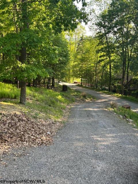 184 Eagle Ln, Terra Alta, WV 26764 photo 21