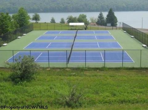 184 Eagle Ln, Terra Alta, WV 26764 photo 22