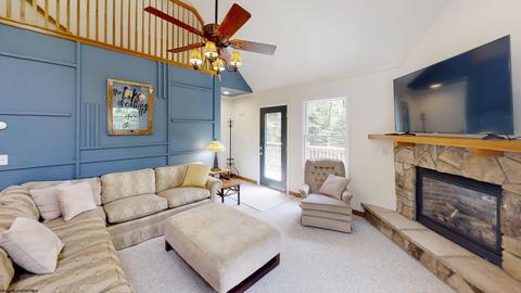 184 Eagle Ln, Terra Alta, WV 26764 photo 4