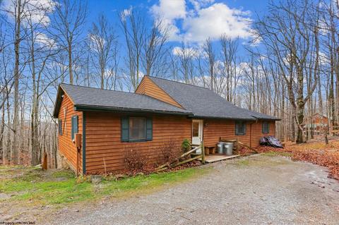95 Fern Ln #LOT 105 MOAINSIDE, Davis, WV 26260