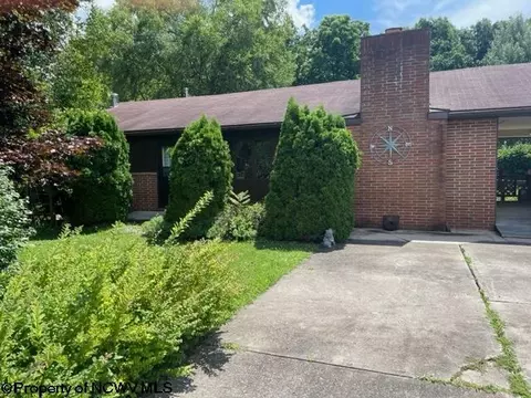203 Long St, Parsons, WV 26287