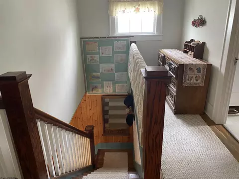 231 Thomas Ave, Davis, WV 26260 photo 15