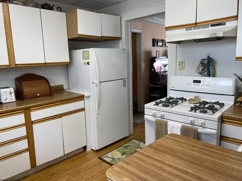 231 Thomas Ave, Davis, WV 26260 photo 10