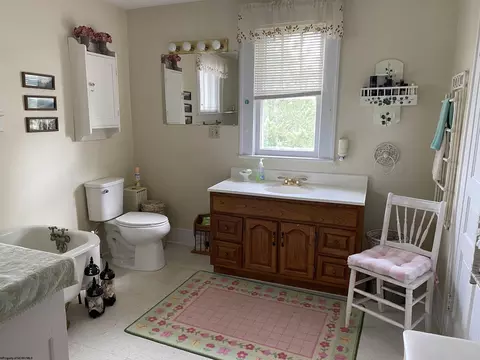 231 Thomas Ave, Davis, WV 26260 photo 16