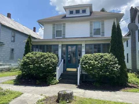 231 Thomas Ave, Davis, WV 26260 photo 2