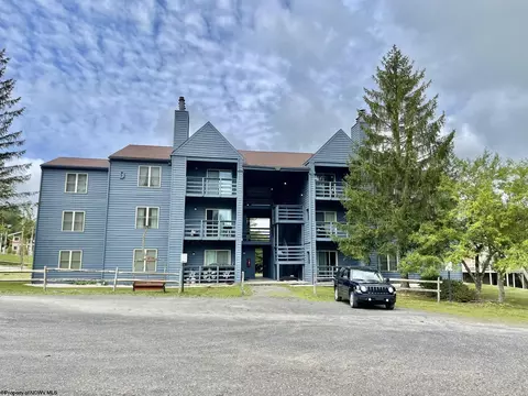 303 Herzwood Rd UNIT D303, Davis, WV 26260