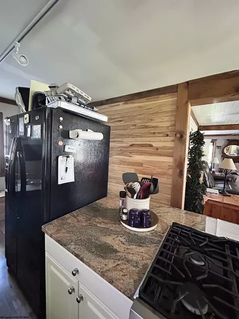 465 Douglas Rd, Thomas, WV 26292 photo 11