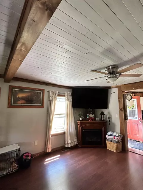 465 Douglas Rd, Thomas, WV 26292 photo 4