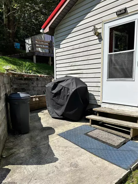 465 Douglas Rd, Thomas, WV 26292 photo 23