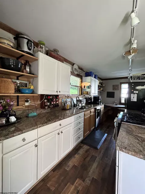 465 Douglas Rd, Thomas, WV 26292 photo 7
