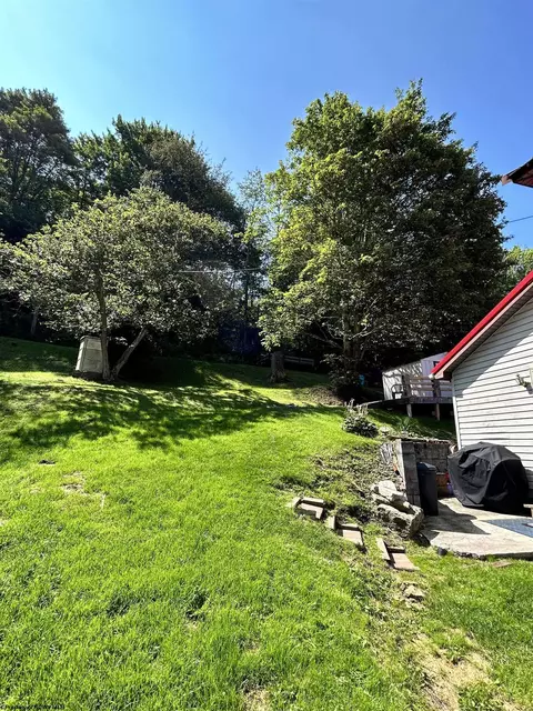 465 Douglas Rd, Thomas, WV 26292 photo 22