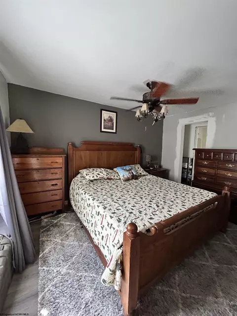 465 Douglas Rd, Thomas, WV 26292 photo 16